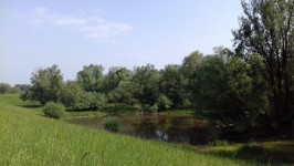 Gombos- a Duna árteróleténél-Tuskós