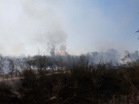 20155674_171797163362987_3951318668105160727_n