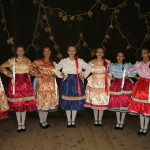 Nemzetközi művelődési találkozó-Csonoplya